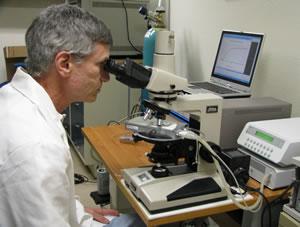 LC-Vision founder and CEO, Dr Michael Wand, using the Linkam LTS350 temperature stage to characterize liquid crystals Dr Michael Wand